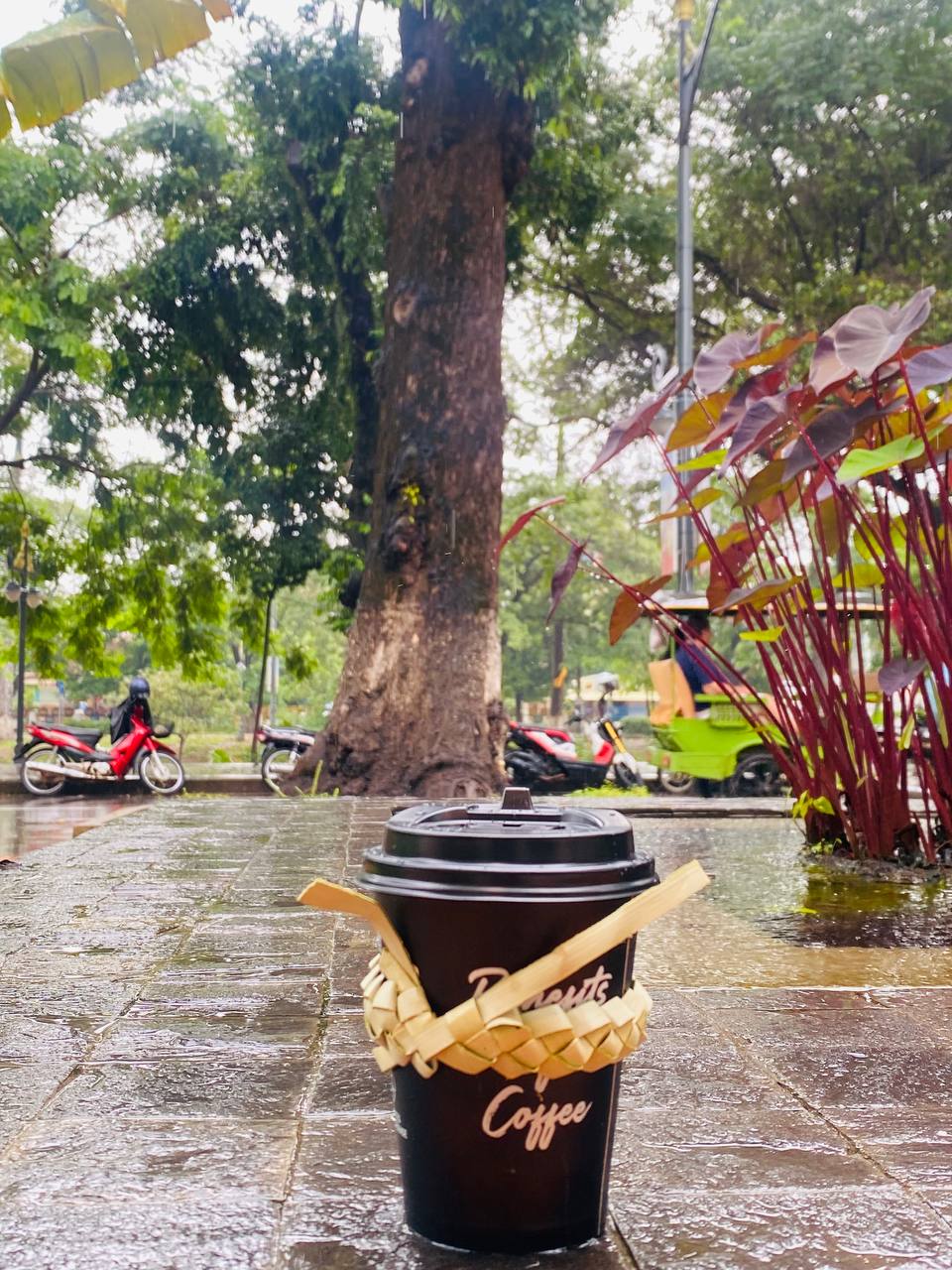 Palm leaf cup carrier